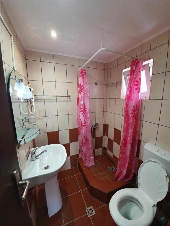 Pensiunea Brandusa Rânca Kültér fotó